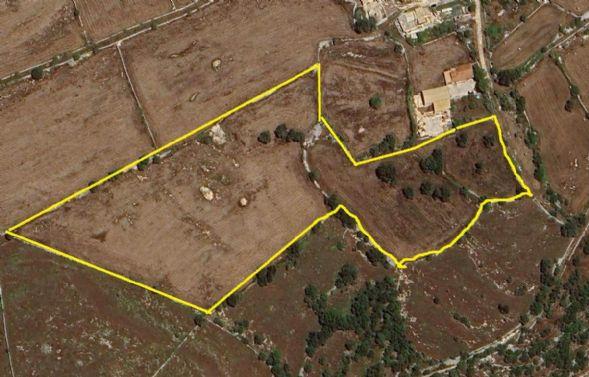 insertion image