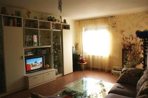 immagine annuncio 2 di 11