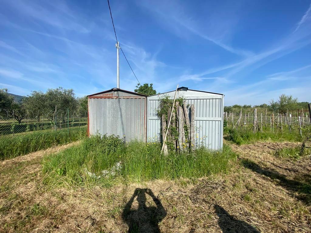 immagine annuncio 9 di 15