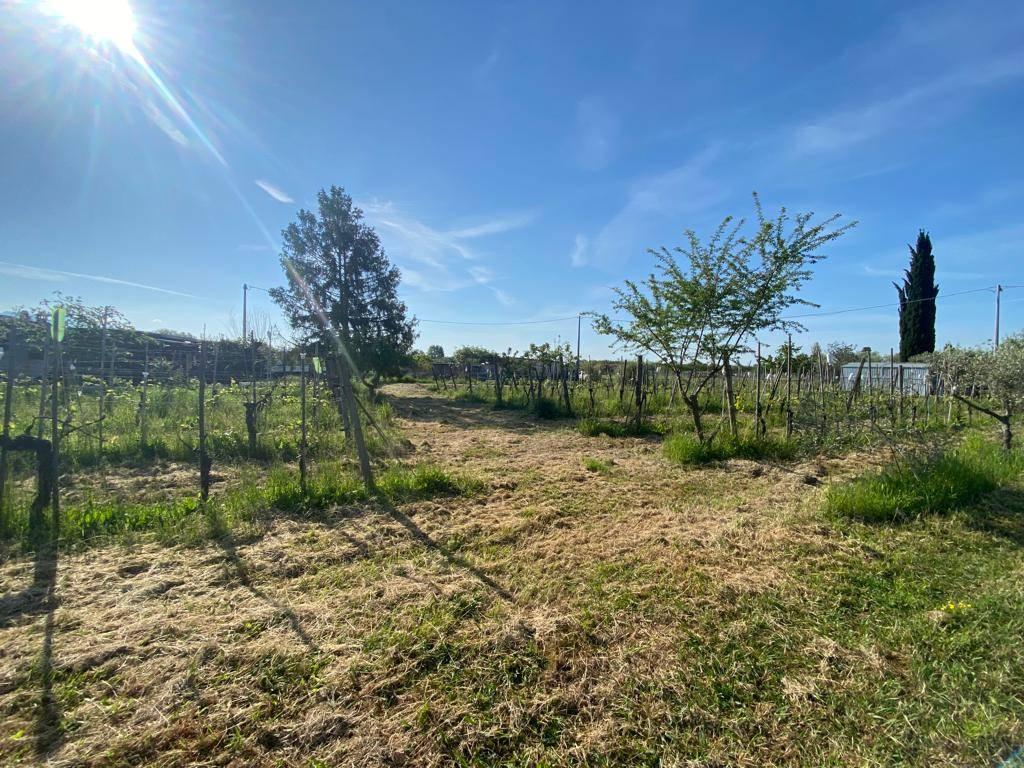 immagine annuncio 10 di 15