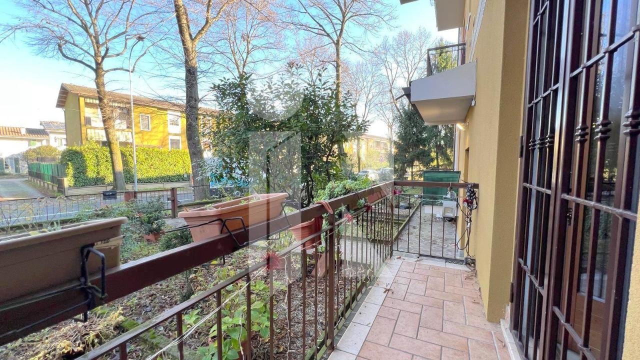 immagine annuncio 8 di 15