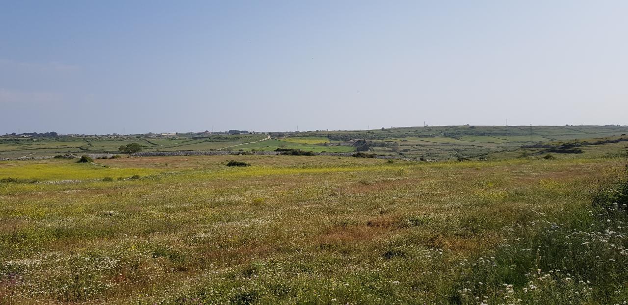 immagine annuncio 8 di 13