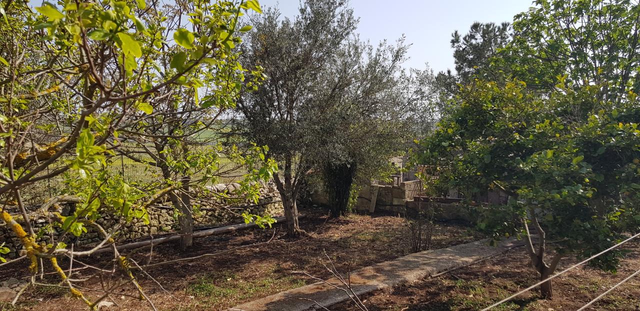 immagine annuncio 2 di 13