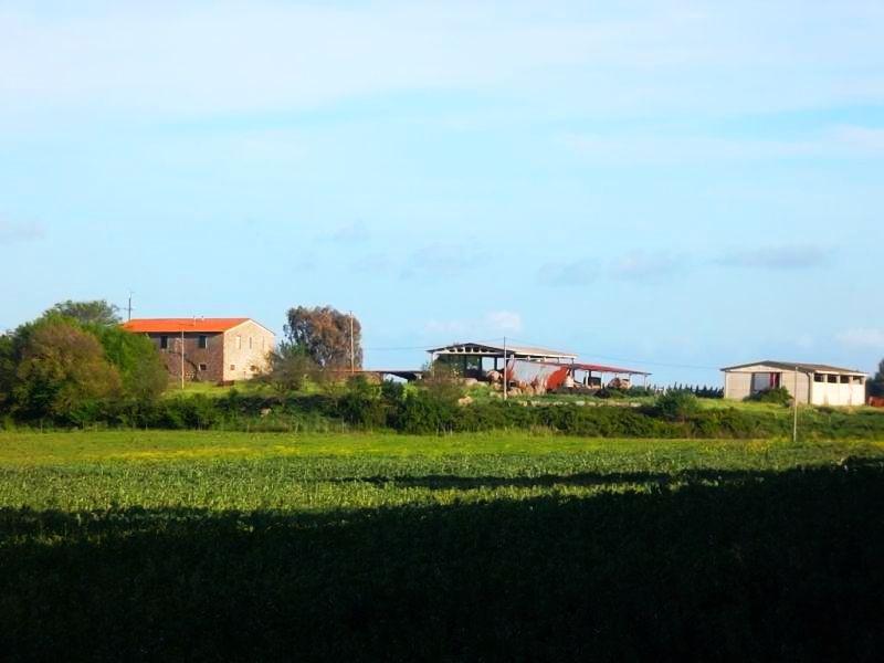Azienda agricola in , Gavorrano - Foto 1