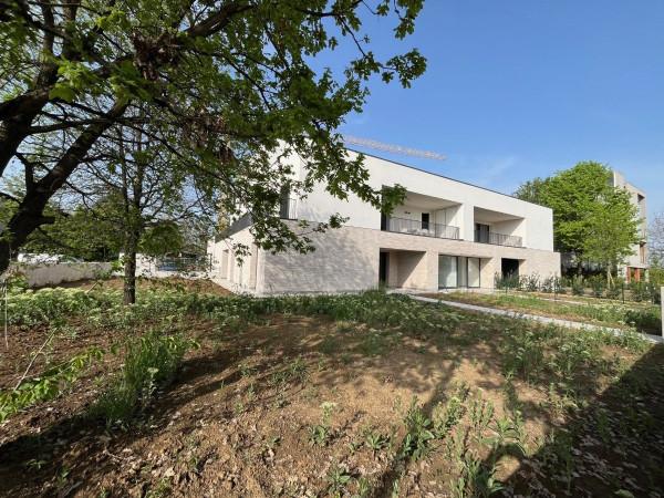 immagine annuncio 2 di 7