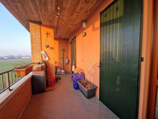 immagine annuncio 8 di 11