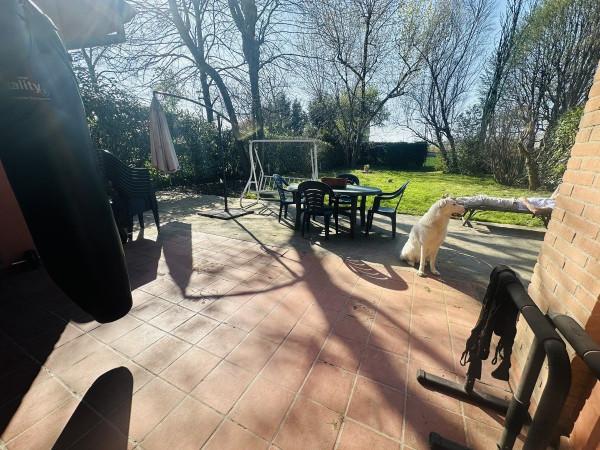 immagine annuncio 2 di 6