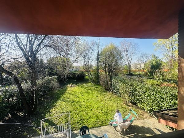 immagine annuncio 5 di 6