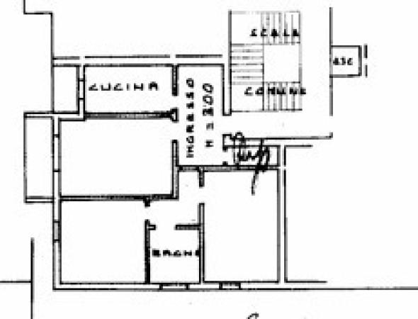 immagine annuncio 12 di 13