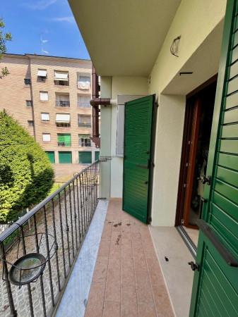 immagine annuncio 4 di 7