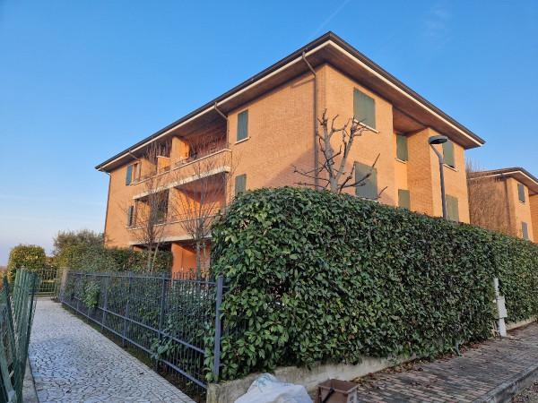 immagine annuncio 9 di 11