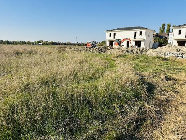 immagine annuncio 10 di 11