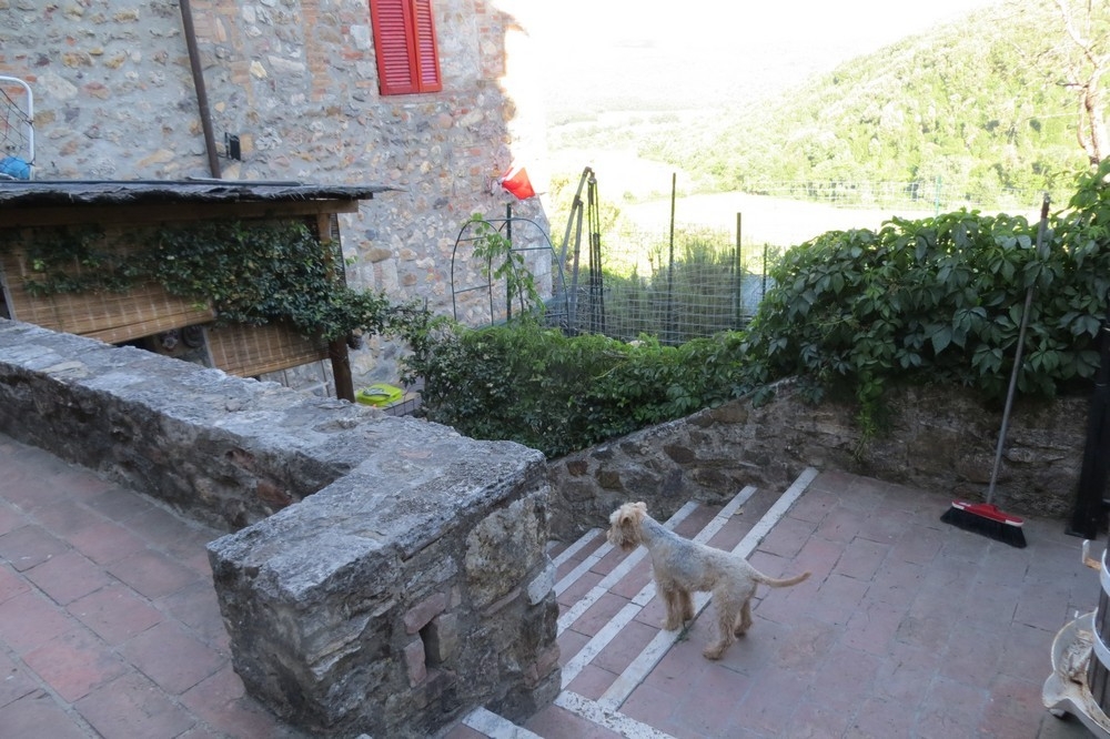 immagine annuncio 11 di 15