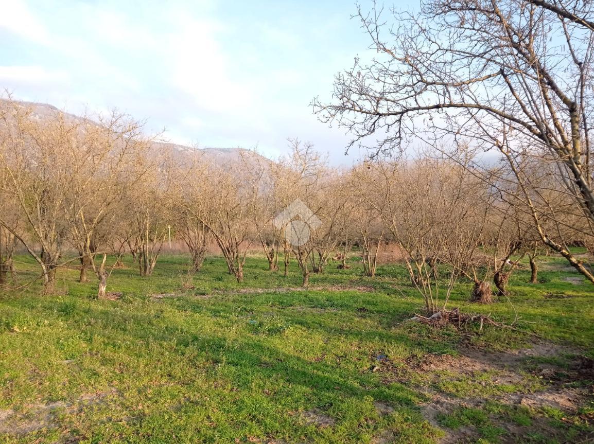 Terreno agricolo in vendita a Santa Lucia Di Serino