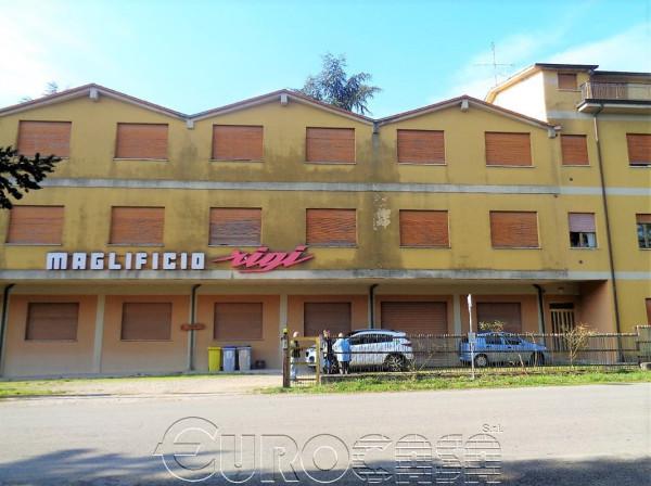 Capannone in , Umbertide, {3} - Foto 2
