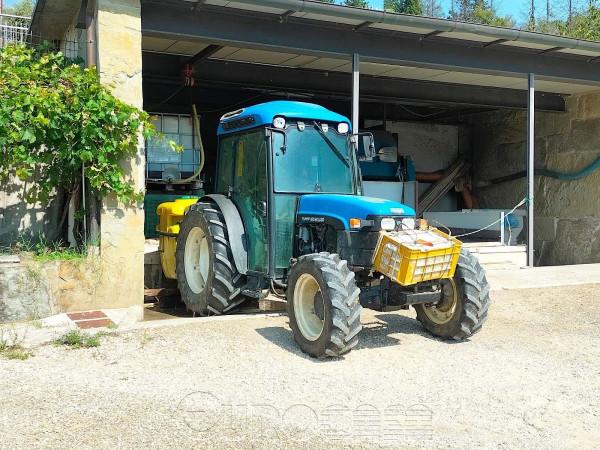 immagine annuncio 11 di 15