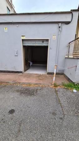 insertion image