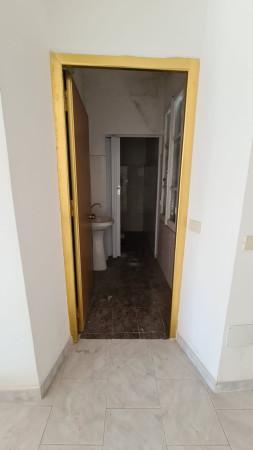 Negozio in Via Prenestina, Montecompatri, {3} - Foto 2