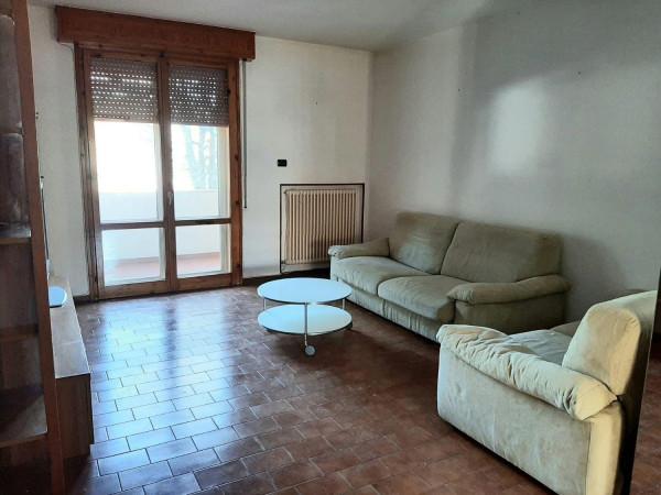 immagine annuncio 3 di 8