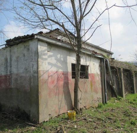 immagine annuncio 1 di 8