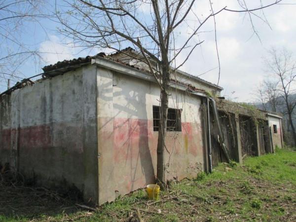 immagine annuncio 4 di 8