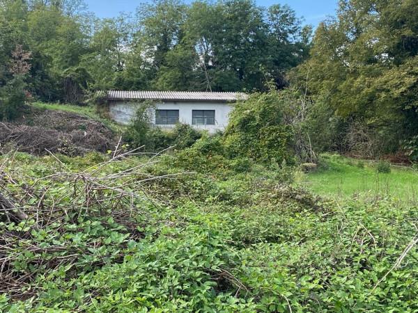 immagine annuncio 7 di 11