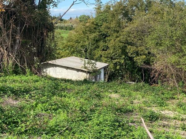 immagine annuncio 6 di 11