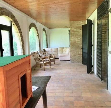 immagine annuncio 2 di 11