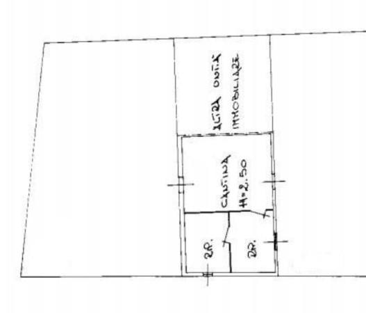 immagine annuncio 6 di 14