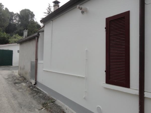 immagine annuncio 3 di 6