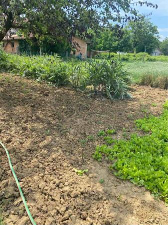 immagine annuncio 3 di 9