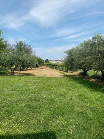 immagine annuncio 6 di 9