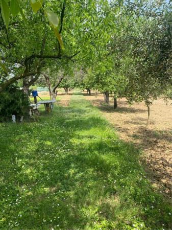 immagine annuncio 8 di 9