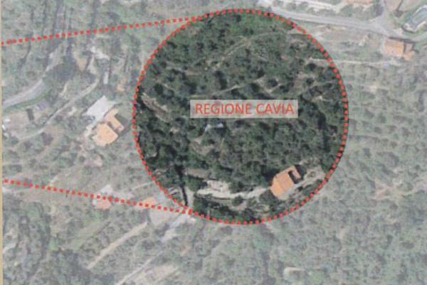 immagine annuncio 4 di 7