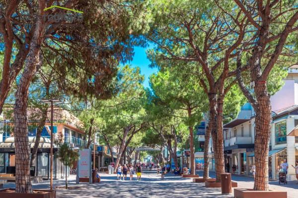 immagine annuncio 5 di 12