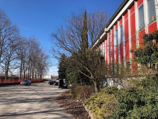 Magazzino in Via Trieste 111, Nervesa Della Battaglia, {3} - Foto 1