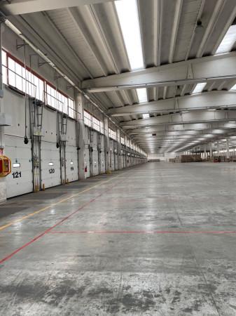 Magazzino in Viale del Commercio, Piacenza, {3} - Foto 1