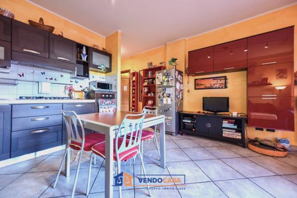 immagine annuncio 12 di 15