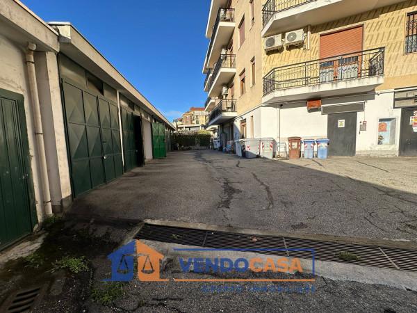 immagine annuncio 3 di 12