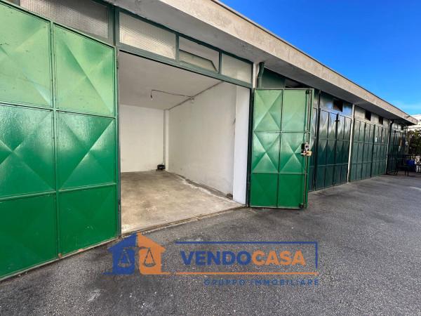 immagine annuncio 10 di 12