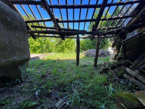 immagine annuncio 5 di 9