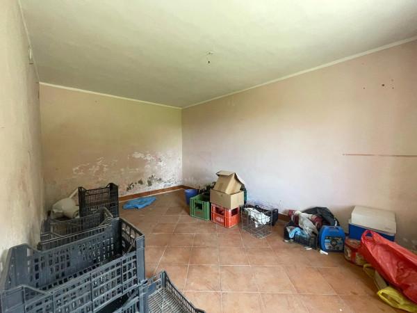 immagine annuncio 12 di 14