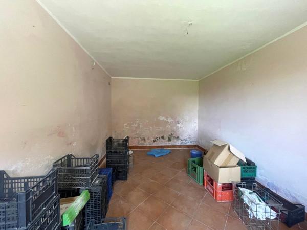 immagine annuncio 10 di 14