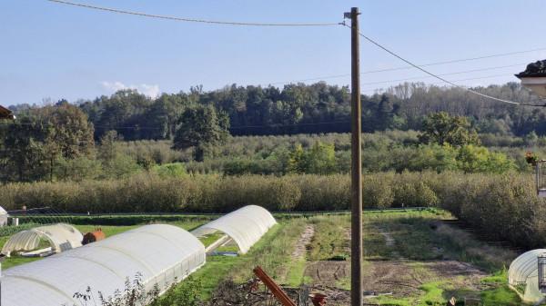 immagine annuncio 8 di 14