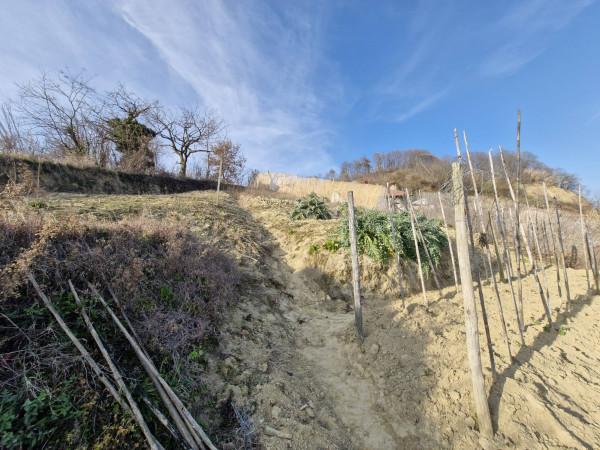 immagine annuncio 7 di 11