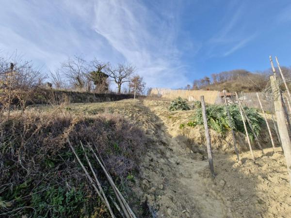 immagine annuncio 10 di 11