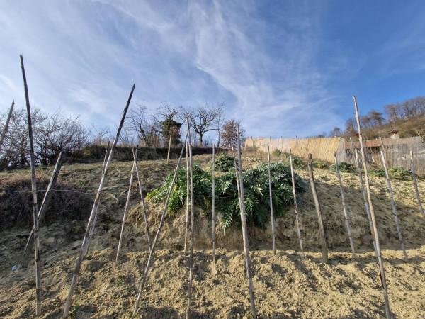 immagine annuncio 9 di 11