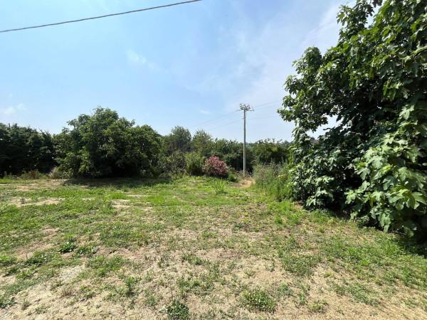 immagine annuncio 4 di 8