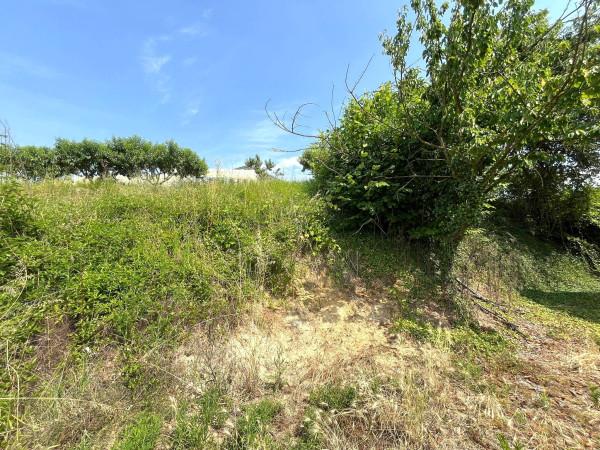 immagine annuncio 2 di 8