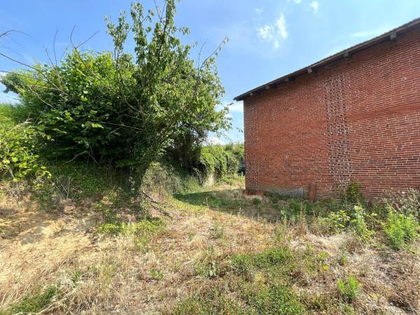 immagine annuncio 6 di 8